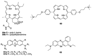 Antibacterial PDT agents.