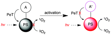 The general mechanism of PeT. PS: photosensitizer, A: auxiliary group, A′; modified auxiliary group.