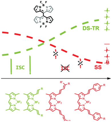 Relation of DS-TR and SS characters of S1 to pi-conjugation and tendency of ISC (DS-TR: doubly substituted tetraradical S1 state, SS: singly substituted HOMO → LUMO type open shell S1). Top: configuration of dimers, Bottom: monomeric structures of the dimers. Adopted with permission from ref. 152. Copyright 2012 American Chemical Society.