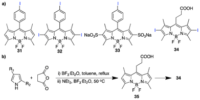 (a) Iodinated BODIPY PSs and (b) the synthetic scheme for 34.