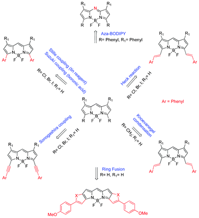 A schematic summary of chemical modification for long-wavelength BODIPY dyes.