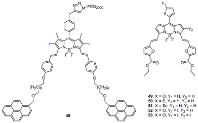 Pyrenyl-functionalized distyryl and heavy atom-substituted difuranylvinyl-BODIPYs.