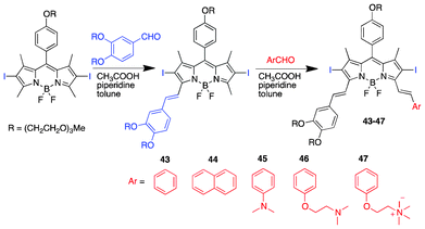 Structures and synthesis of diiodinated asymmetric distyryl BODIPY PSs.