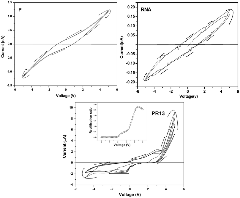 Current–voltage (I–V) characteristic curves of P, RNA and PR13 hybrids (inset: plot for rectification ratio vs. voltage (V) of the respective samples).