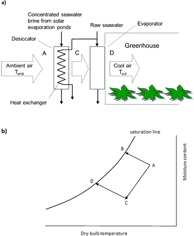 Hygroscopic seawater brine may be used to enhance evaporative cooling through prior removal of moisture from the air. (a) Process schematic of proposed arrangement. (b) Psychrometric chart illustrating the desiccant cooling operation (ACD), contrasting it with simple evaporative cooling (AB) which is limited by the wet-bulb temperature. The process ACD consists of a desiccant step (AC) followed by an evaporative cooling step (CD). Note that the processes illustrated are ideal processes, in which mass and heat transfer proceed to equilibrium; real processes will fall short of the ideal case.