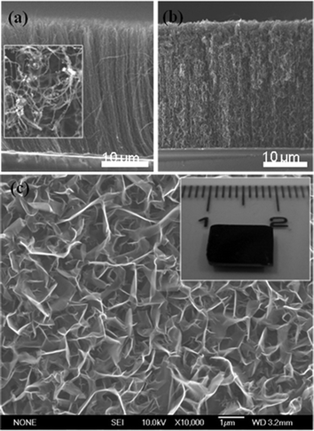 (a) A cross-section SEM image of an aligned CNT array and (b) CNT–graphene heterostructures grown on an Si substrate. A top view of the CNT array is shown in the inset of (a). (c) A top view SEM image showing the interconnected graphene layers grown on a CNT array. The inset in (c) is a photograph of the as-grown CNT–graphene heterostructures demonstrating large-scale synthesis.