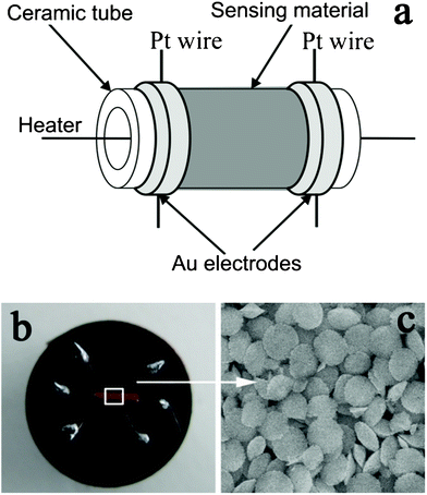 (a) Schematic diagram of the sensor. (b) Photograph of the completed sensor. (c) SEM image of the sensing material.