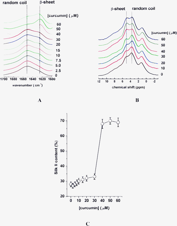 FT-IR (A), and 1H CRAMPS (B), spectra of silk fibroin in the presence of curcumin of various concentrations. (C) Dependence of Silk II content on curcumin concentration.