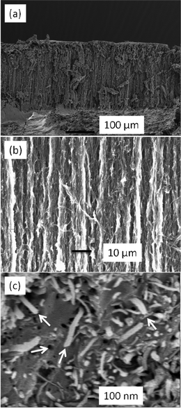 SEM images of the VACNT membrane with the tube gap filled by epoxy (a, b: cross-section; c: surface after polishing).