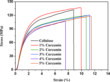 Stain–stress curves of cellulose and cellulose/curcumin composite films.