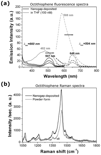 (a) Fluorescence excitation (solid lines, at λem = 660 nm) and emission spectra (dashed line, at λexc = 504 nm) of the 8–mer molecule in THF solution (100 nM, in grey) and deposited on the nanogap–array chip (in black). The excitation and emission spectra of three different chips were measured here. The arrows show the red–shift of both the excitation and emission peaks from the molecule in solution to the bound molecule in the Me–M–Me junction. (b) Micro–Raman spectra for the octithiophene molecule in powder form (grey curve, multiplied by 8) and deposited on the nanogap gold electrodes (black curve), showing an enhanced intensity due to the presence of the metallic electrodes.