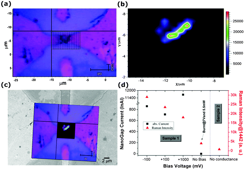 (a) Optical microscopy image of the nanogap area showing the Raman mapping grid; (b) 2–D analysis of baseline corrected SERS spectra, corresponding to the grid in (a) showing the intensity of the acquired signal from the octithiophene molecules; (c) Merged image of the Raman mapping and the FESEM image acquired on the same nanogap, (d) Electric current and acquired SERS intensities from the deposited octithiophenes as a function of the applied voltage. Sample 1: molecules bridging the gap (see (c)); sample 2: no current measured.