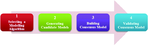 An overview of the model development process.
