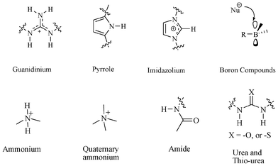 Commonly used motifs for anion receptors.