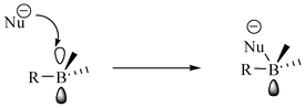 Coordination of boron with nucleophiles.