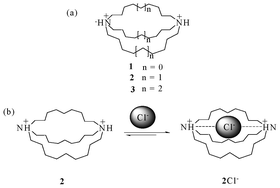 (a) Ammonium receptors 1, 2, and 3 (b) complex of receptor 2 with Cl− ion.