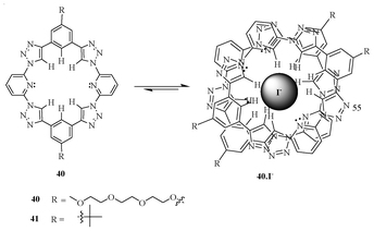 Pyridyl-containing triazolophanes 40 and 41.