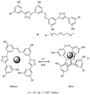 Photoswitchable receptor 54.