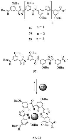 Oligo(phenyl-amide-triazoles) 57–59 and the chloride assisted folding of 57.