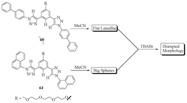 Molecular self-assembly and binding behaviour of 60 and 61.