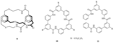 Amide receptors 9–11.