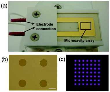 (a) Photograph of the microcavity plasma array device, (b) optical micrograph of part of the array and (c) the microplasma array ignited at 1 kVpeak–peak and 10 kHz in helium at 760 Torr. Scale bar = 250 μm.