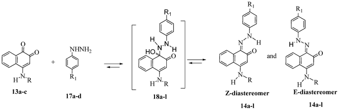 Equilibrium of E- and Z-hydrazones through intermediate hemiaminals 18a–l.