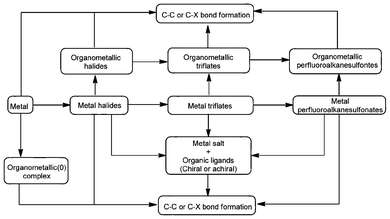 Types of metal Lewis acids and their catalytic applications.