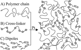 Three initial substances (left) form, in a Pt-catalyzed hydrosilylation reaction, a rubber network (right). The one step film formation process leads to an homogeneous distribution of dipoles in the network.