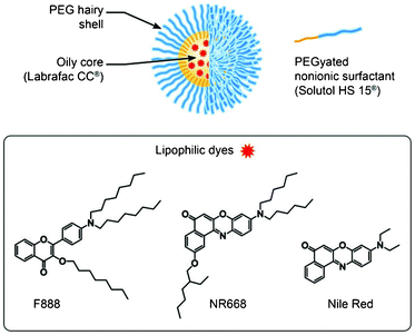 Schematic presentation of a nano-droplet and chemical structure of the new lipophilic dyes used for encapsulation. Nile Red was used as a reference for characterizing the release properties.