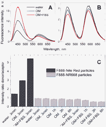 Investigation by FRET of the dye release from the lipid nano-droplets in different media: water, Opti-MEM (OM) and Opti-MEM with 10 vol.% FBS (OM+FBS). Droplets encapsulating 0.5% of F888 (with respect to Labrafac CC®) as energy donor and 0.5 wt.% of Nile Red (A) or NR668 (B) as energy acceptor were used. The nano-droplets were diluted 10 000-times from the original formulation into the medium of interest. The first fluorescence spectra were measured after 3 min incubation at RT (A and B). Then, samples were incubated for 1 h, 3 h and 6 h at 37 °C. FRET was quantified as the fluorescence intensity ratio between the maximum of the donor (450 nm) and acceptor (590 nm) (C). The donor in the nano-droplets was excited at 390 nm.