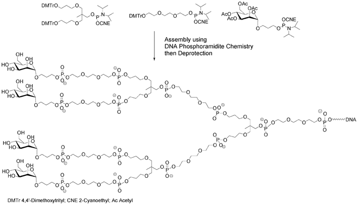 Synthesis of a mannosylated glycodendrimer using solid-phase DNA-like synthesis.37