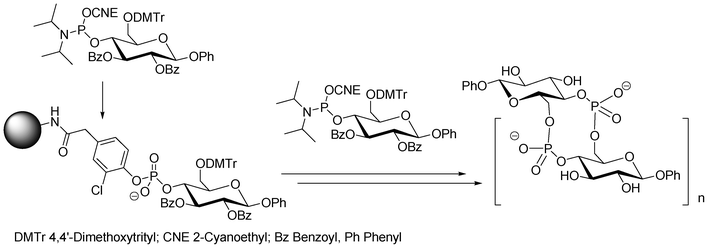 Solid-phase DNA-like synthesis of cyclic phosphate-linked oligosaccharides using bifunctional saccharidic units as building blocks.41