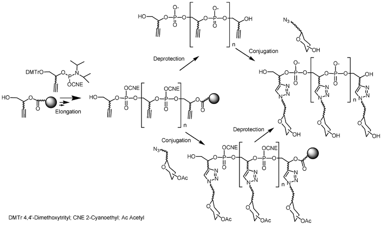 Synthesis of glycoclusters by combination of phosphoramidite chemistry and “click” chemistry.