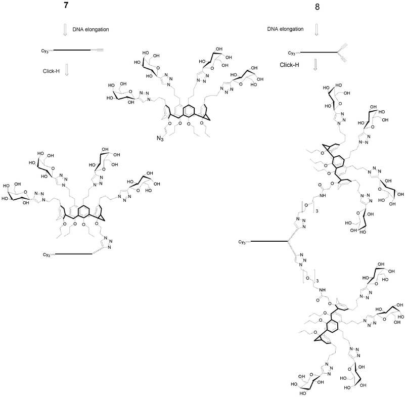 Synthesis of calixarene supported galactosyl clusters.96