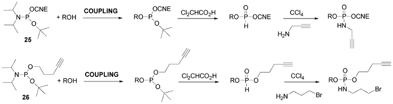 
            tert-Butyl phosphoramidites to form H-phosphonate diester linkage and further amidative oxidation to introduce alkyne or bromoalkyl groups.