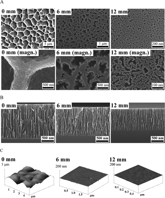 (A, B) Scanning electron microscopy (SEM) and (C) atomic force microscopy (AFM) images of the surface structure and porous layer of the pSi gradients. Three positions 0, 6, and 12 mm along the pSi gradient starting from the position underneath the electrode are displayed from left to right. magn. = larger magnification image.