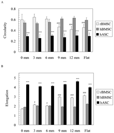 (A) Circularity and (B) elongation of three MSC types along the pSi gradients. A circularity value of 1.0 indicates a perfect circle. As the value approaches 0.0, it indicates an increasingly elongated polygon. Elongation, describing the extent of cell stretch, is the quotient of cell length divided by width. The data represents mean ± standard error mean. The number of analysed cells was 7–12. *** represents p < 0.001 compared with the different cell type. # and ### represent p < 0.05 and p < 0.001, respectively, compared with the 0 mm end.