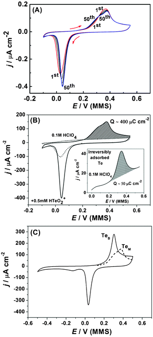 Cyclic voltammograms of Te UPD on Pd, (dE/dt = 50 mV s−1). (a) A selection of scans from the first 50 cycles of Te UPD. (b) 50th cycle of Te UPD (solid line) and Pd electrode response in 0.1 M HClO4 (dotted line). Inset: anodic part of the CV for irreversibly adsorbed Te after transfer of Pd electrode from 0.5 mM Te solution to fresh 0.1 M HClO4 solution. (c) Cyclic voltammogram for deposition and oxidation of bulk Te (solid line, TeB); anodic peak of 50th UPD scan, monolayer stripping (dotted line, TeM).