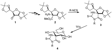 Preparation of sugar-derived spiranic thiohydantoins at C-3.