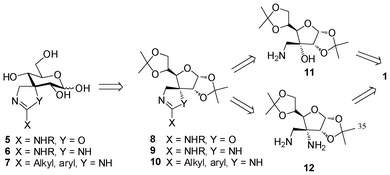Retrosynthetic analysis for the synthesis of spiro-annelated 2-amino-oxazolines, guanidines and amidines 5–7.