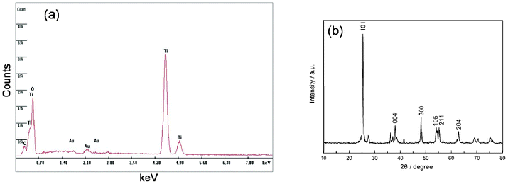 The EDS (a) and XRD (b) spectrum of a 3-D IPN TNW of sample D.
