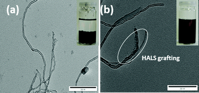 TEM micrographs of a) pristine MWCNTs and b) HALS grafted MWCNTs (inset images – dispersion in THF after 24 h), scale-200 nm.