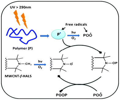 Photostabilizing action of HALS.