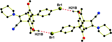 Antiparallel dimeric structure for 11d displaying weak intermolecular C(Ar)–Br⋯H intermolecular halogen-hydrogen interaction.