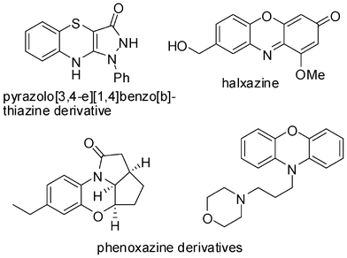 Examples of biologically active benzo[b][1,4]oxazine and thiazine derivatives.