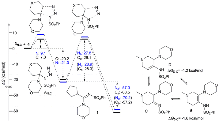 Complete reaction profiles for “carbo” (black) path a and “aza” (blue) path b. Free energy differences are calculated in solution (Et2O) and reported in kcal mol−1. Free energy differences for the unfavored “carbo” path b and “aza” path a are reported in parenthesis. Thermochemical corrections were obtained from vibrational analyses performed at 298.15 K, 1 atm.