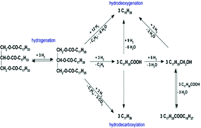 Reaction pathways involved in conversion of triglycerides into hydrocarbons.177
