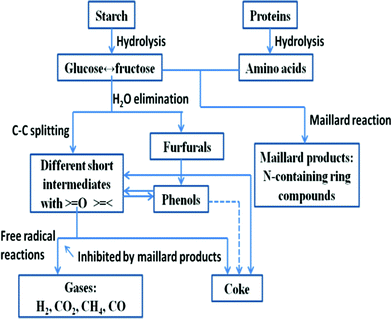 Simplified reaction pathways for hydrothermal carbohydrate and proteins, adapted from reference 87.
