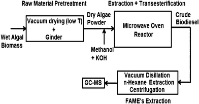 Single-step microwave transesterification process for dry algal biomass. Modified from Ref. 111